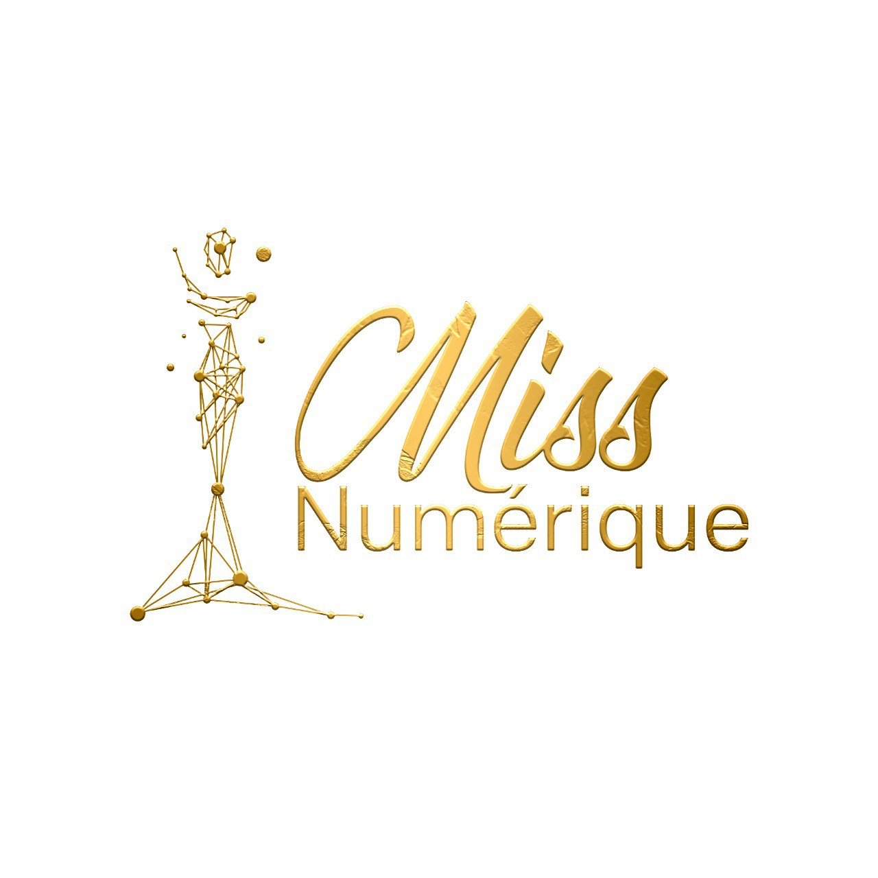 Miss Numérique