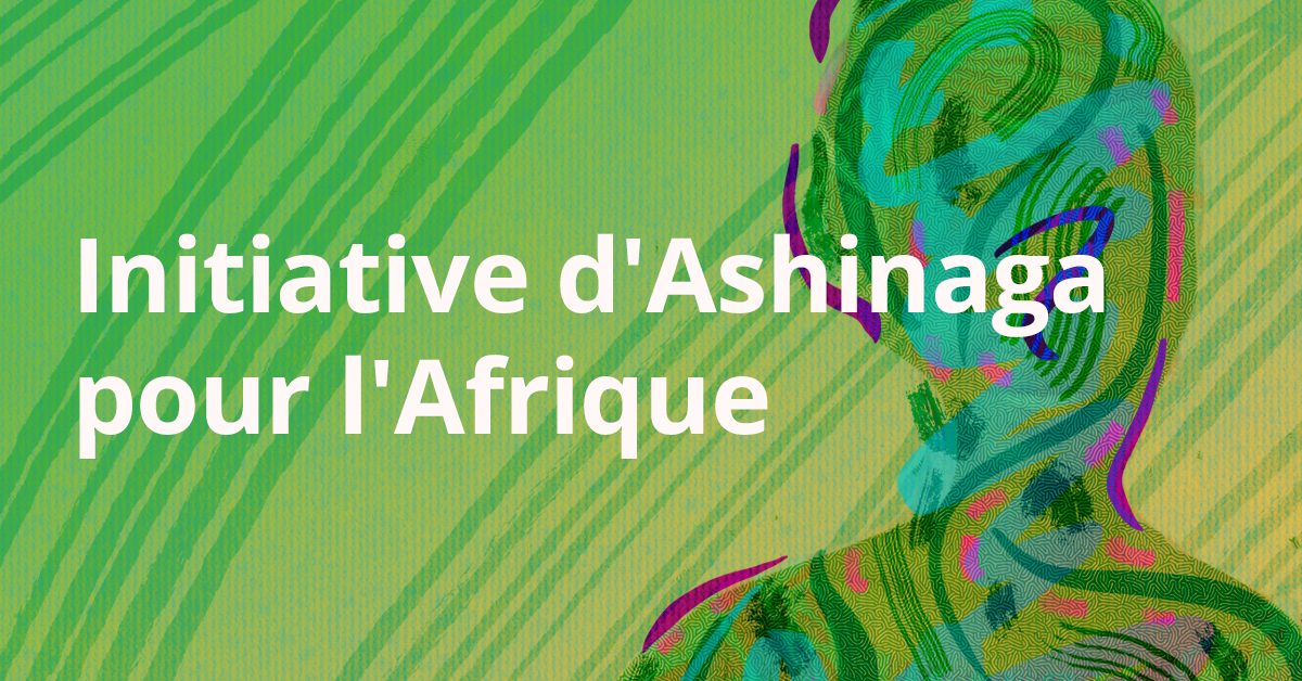 Bourse Ashinaga Africa Initiative 2026