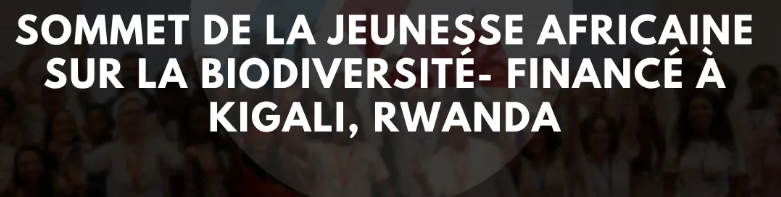 Sommet Biodiversité 2025 : Les jeunes africains attendus à Kigali