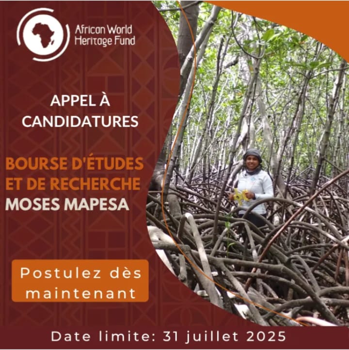 Bourse Moses Mapesa 2025 : Jusqu’à 5 000 USD pour soutenir la recherche en Afrique